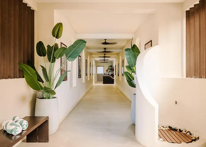 Iguana Surf Boutique Rooftop Pool & Beachfront * Tamarindo