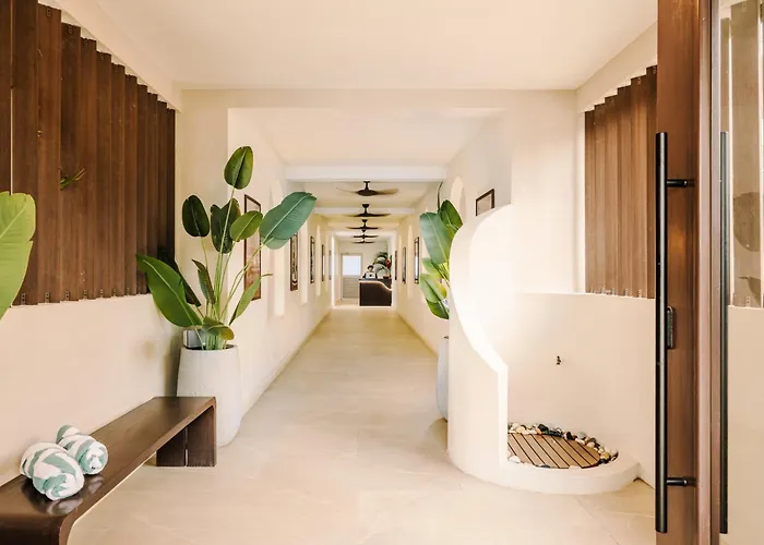 Hotel Iguana Surf Boutique Rooftop Pool & Beachfront *